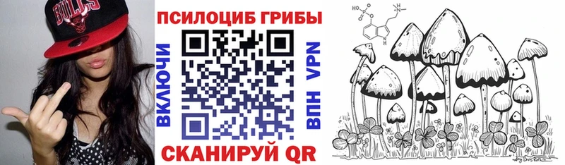 Галлюциногенные грибы ЛСД  купить наркотики сайты  hydra tor  Александров 